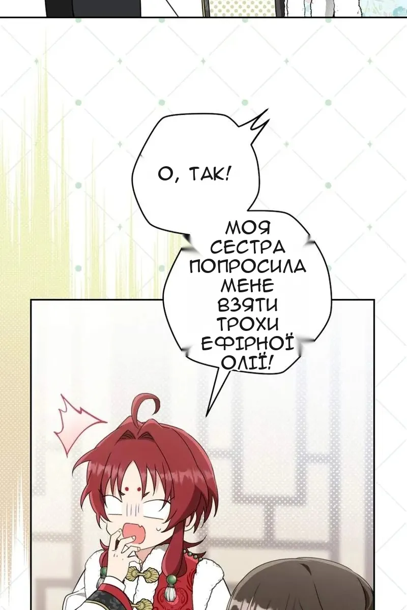 Сторінка 6