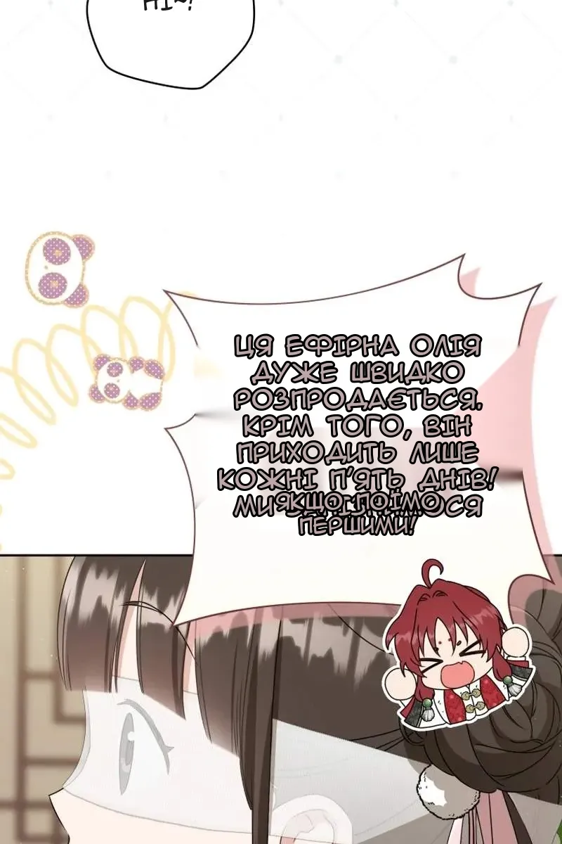 Сторінка 8