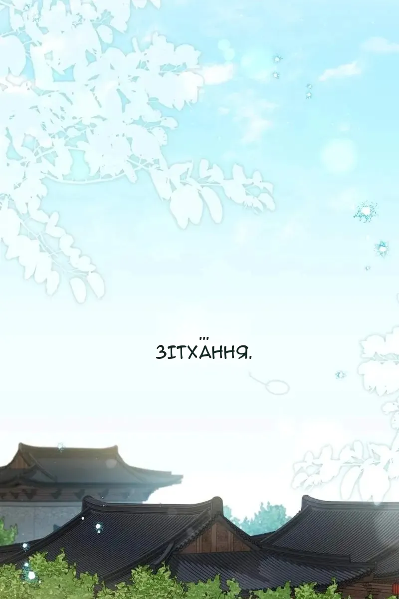 Сторінка 25