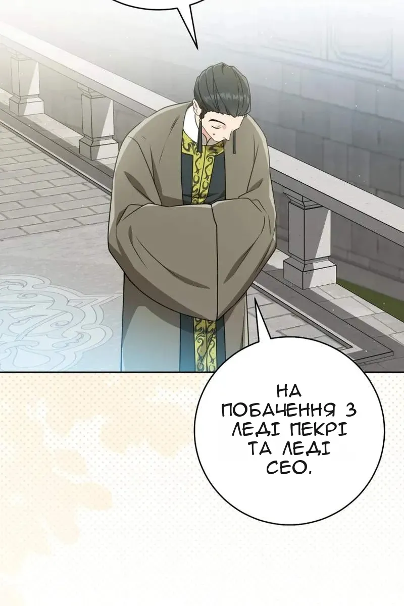 Сторінка 29