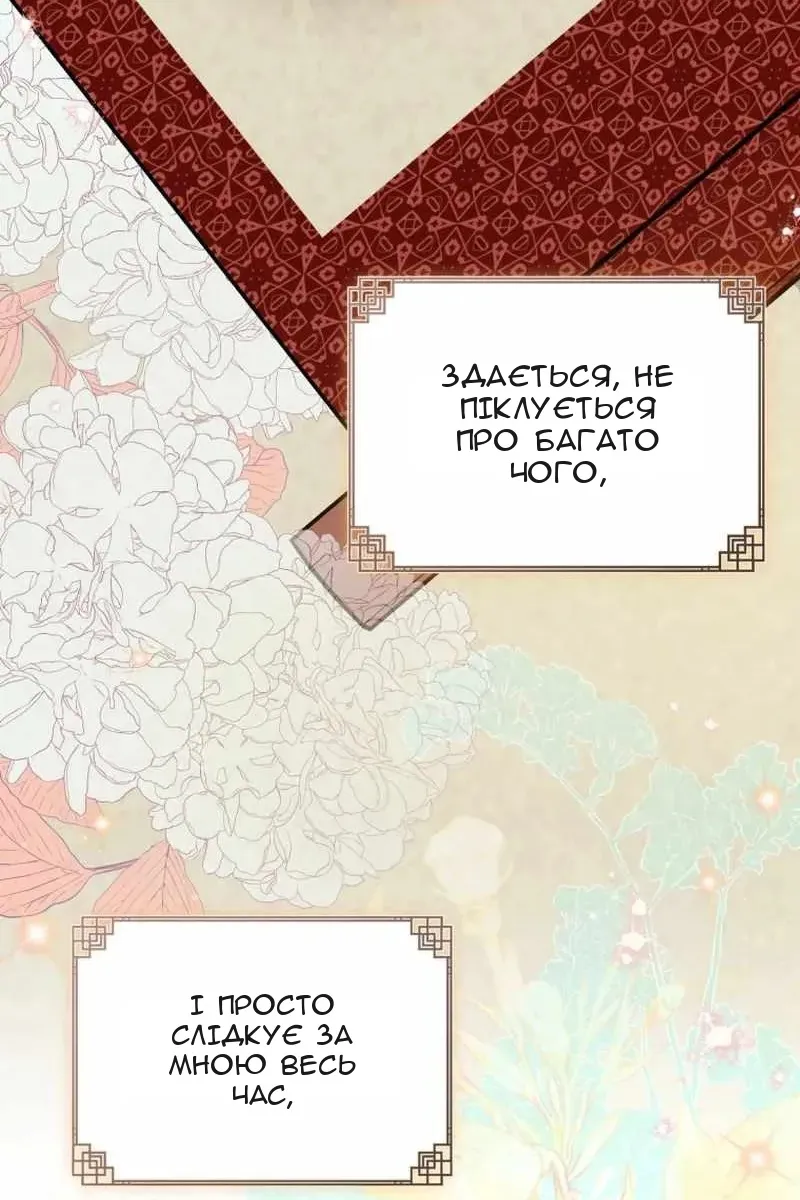 Сторінка 24