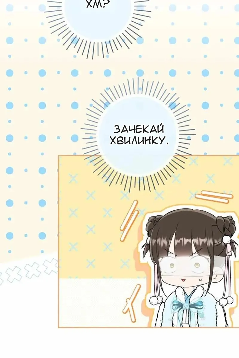 Сторінка 29