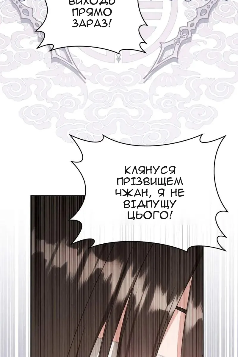 Сторінка 17