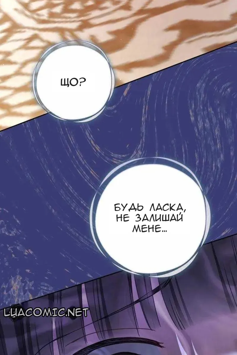 Сторінка 52