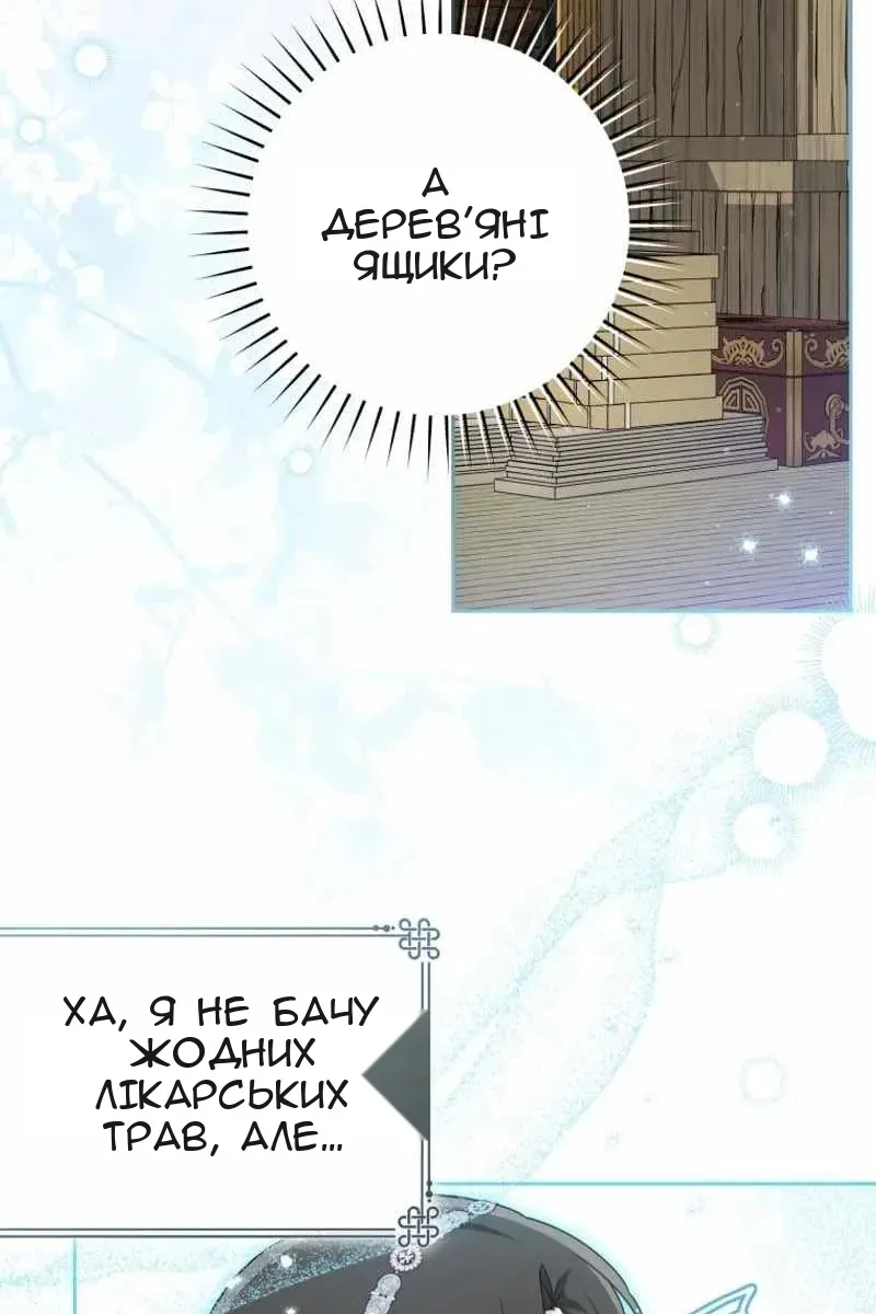 Сторінка 41