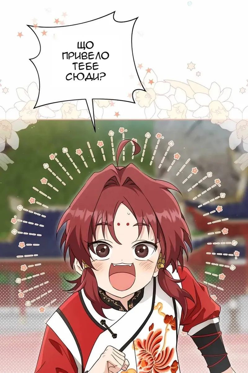 Сторінка 5