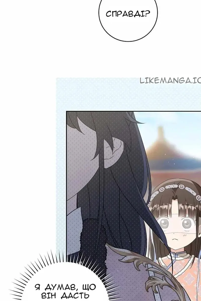 Сторінка 17