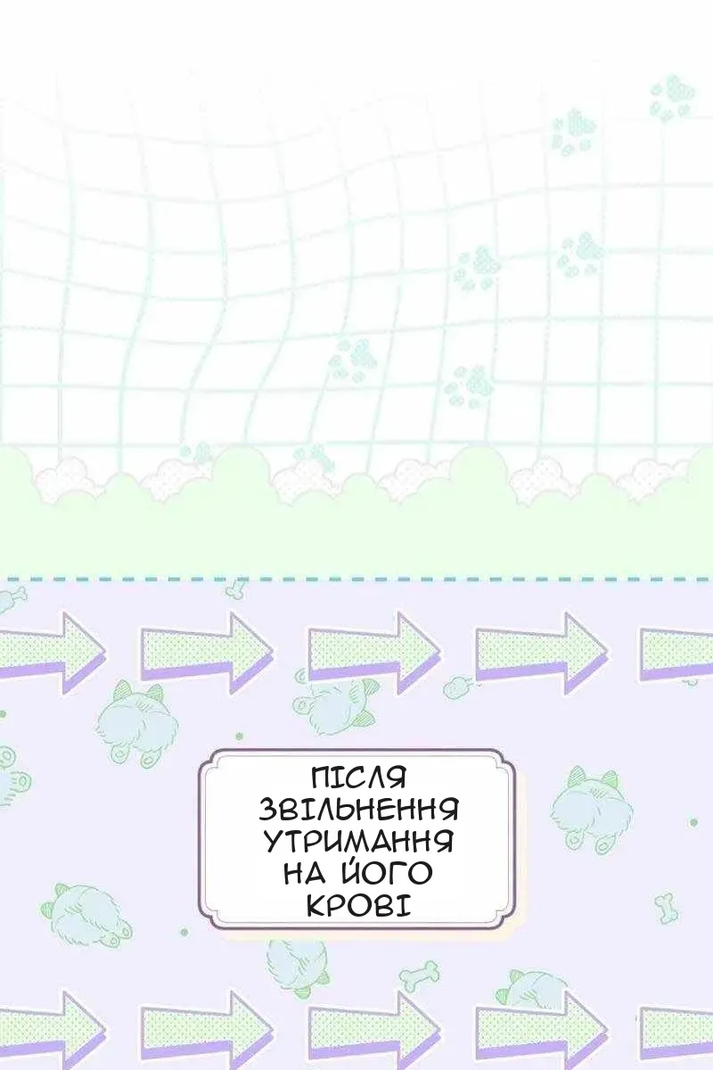 Сторінка 21