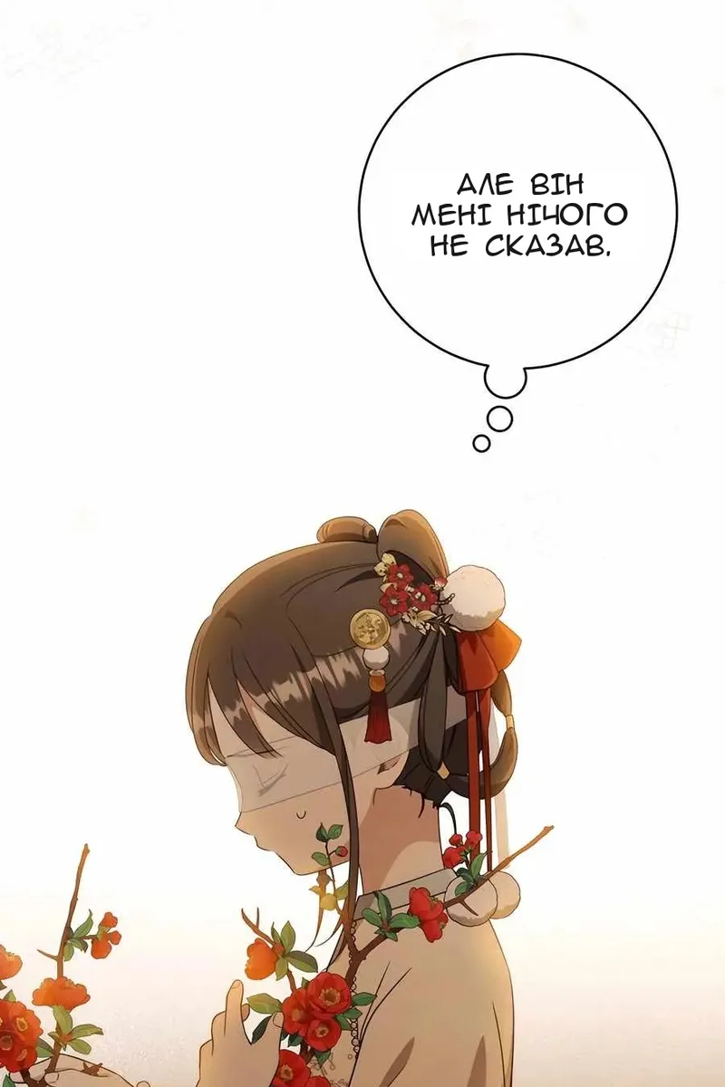 Сторінка 17