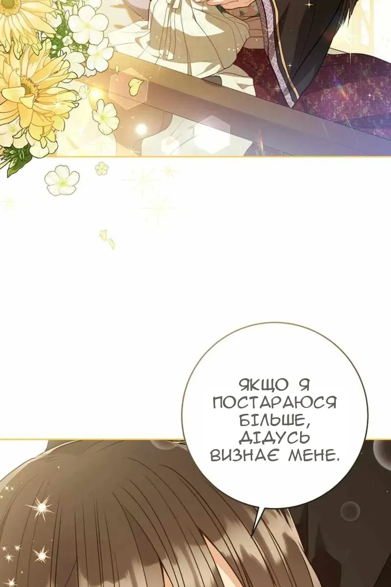 Сторінка 29