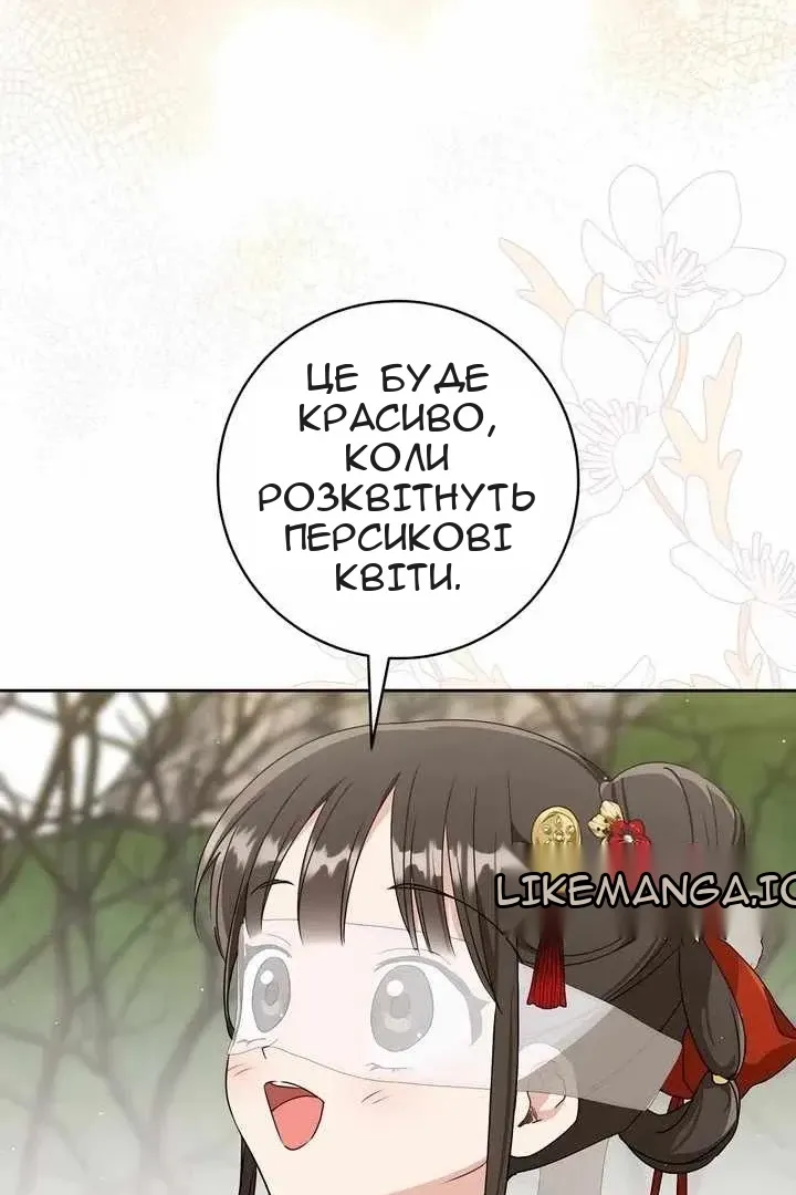 Сторінка 31