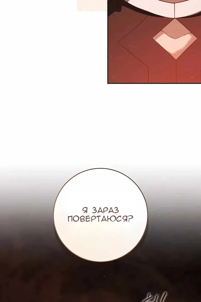 Сторінка 11