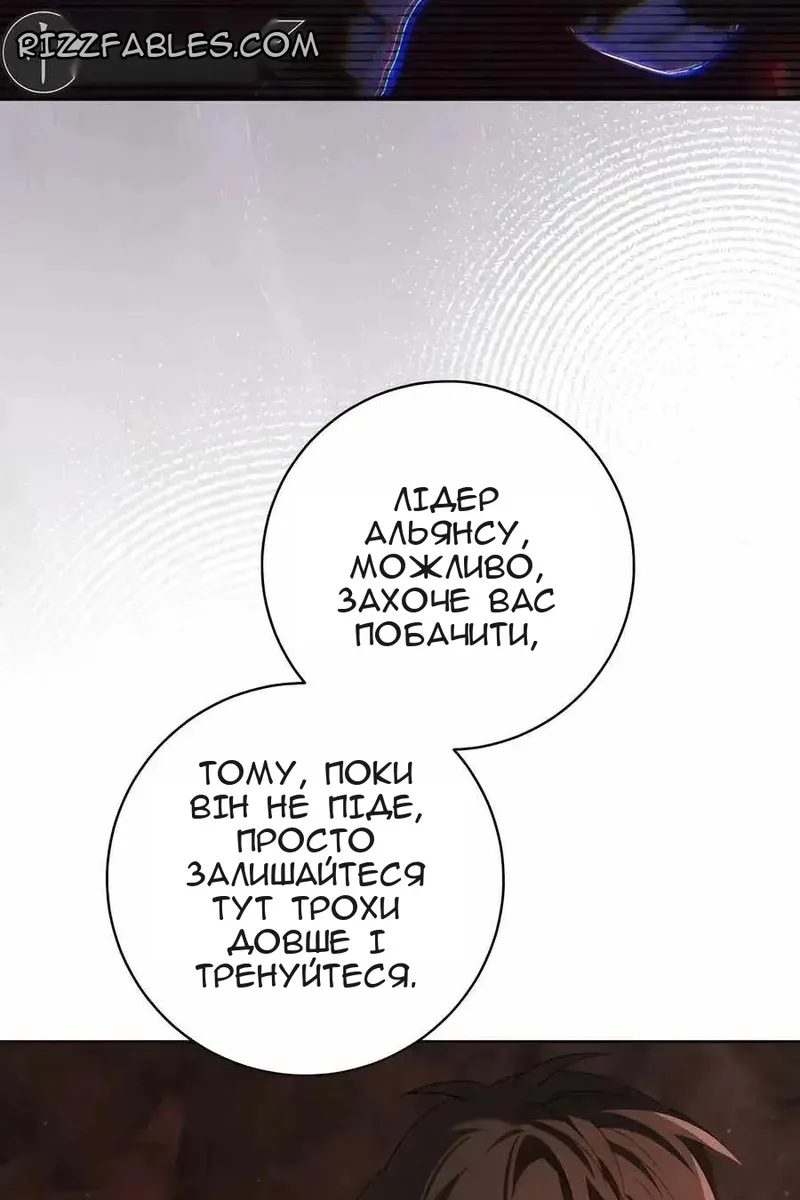 Сторінка 17