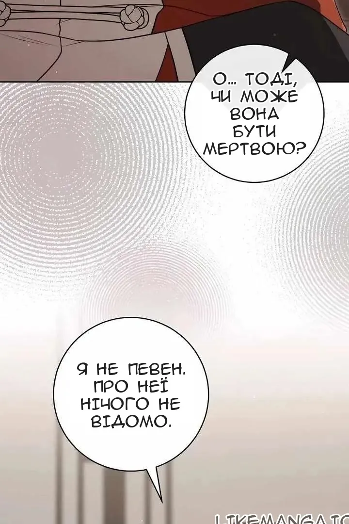 Сторінка 29