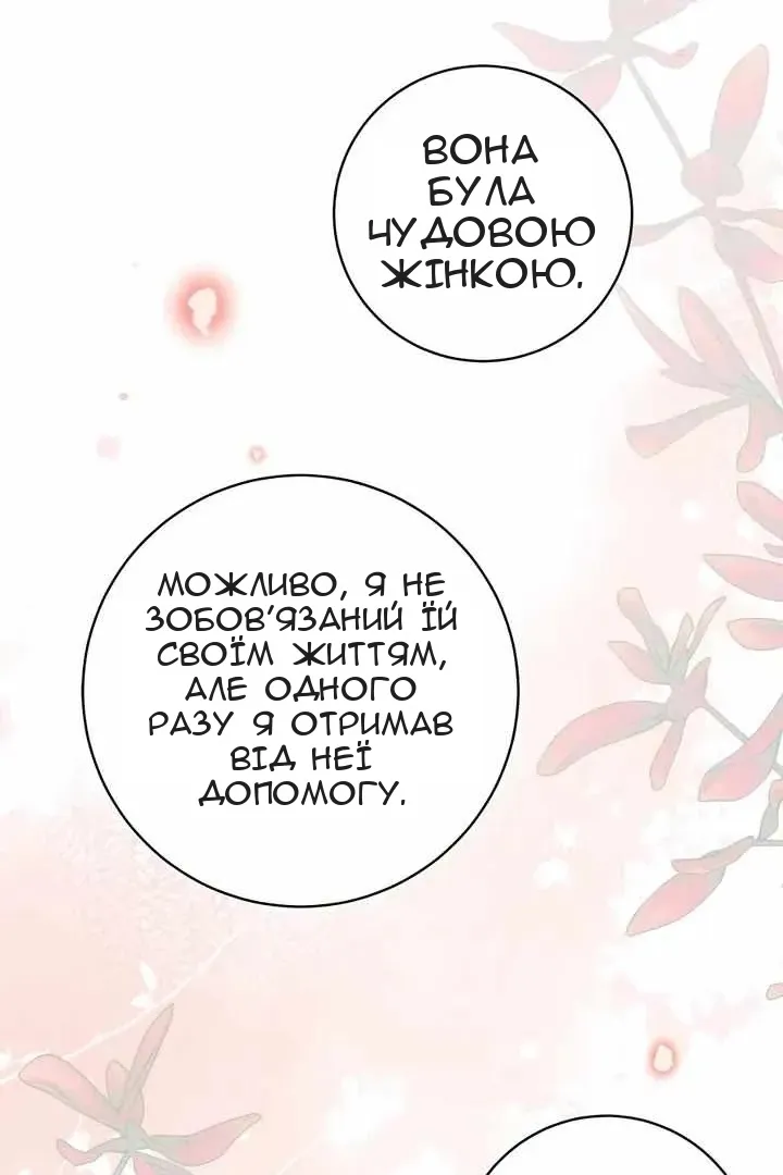 Сторінка 31