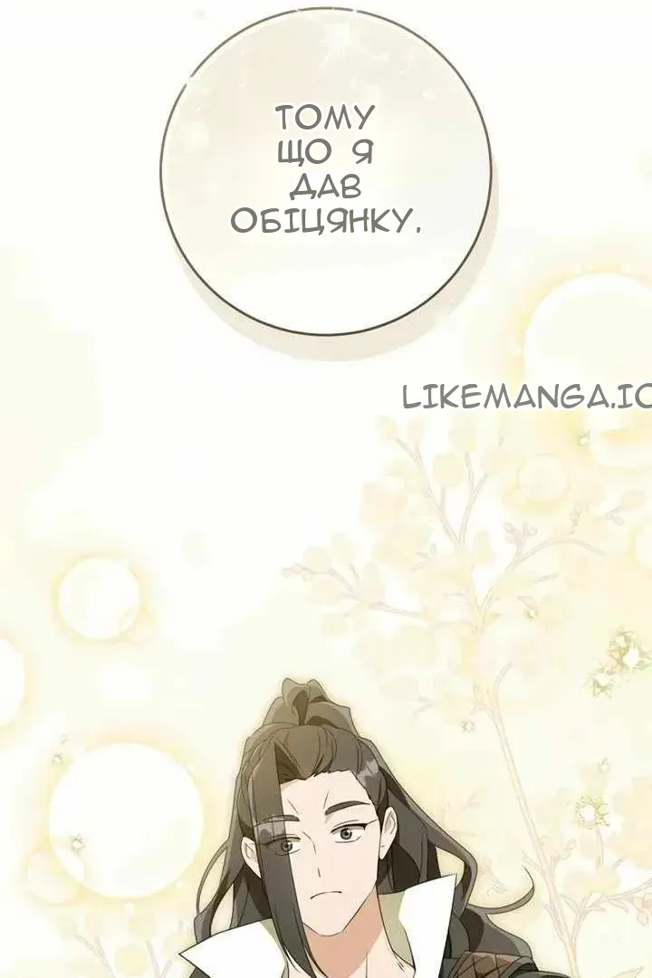 Сторінка 17