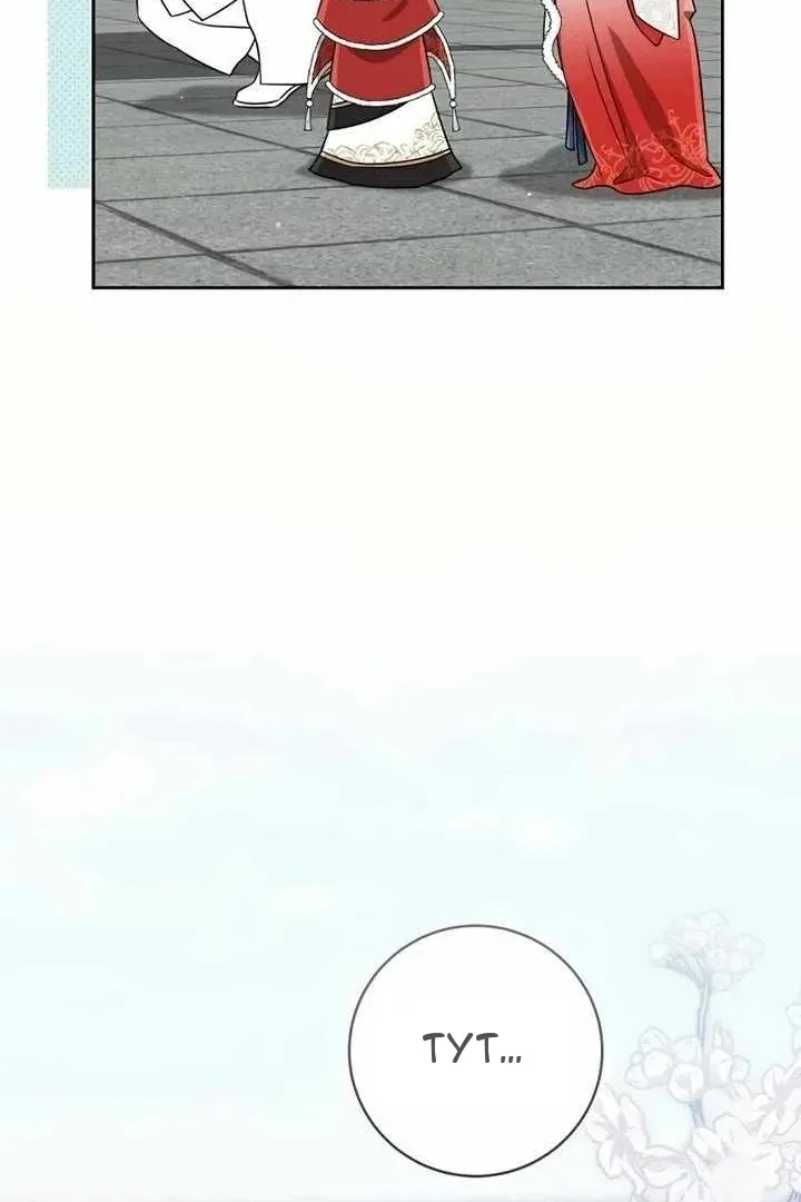 Сторінка 31