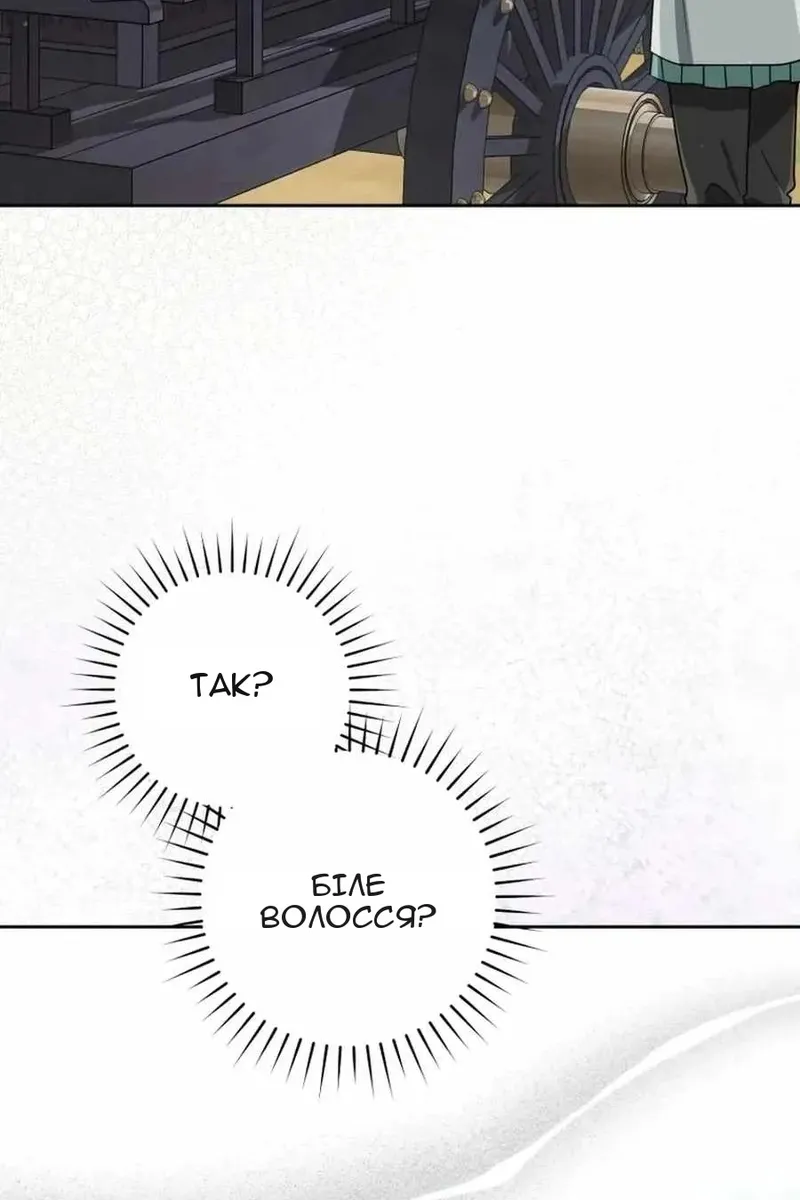 Сторінка 52