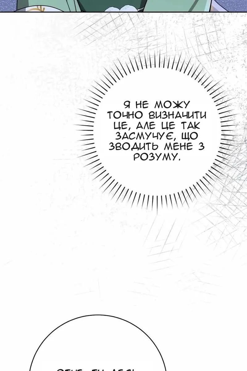 Сторінка 27