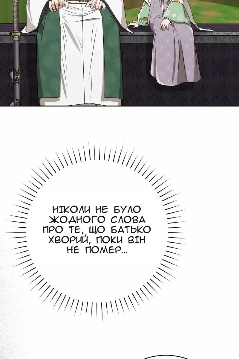 Сторінка 29