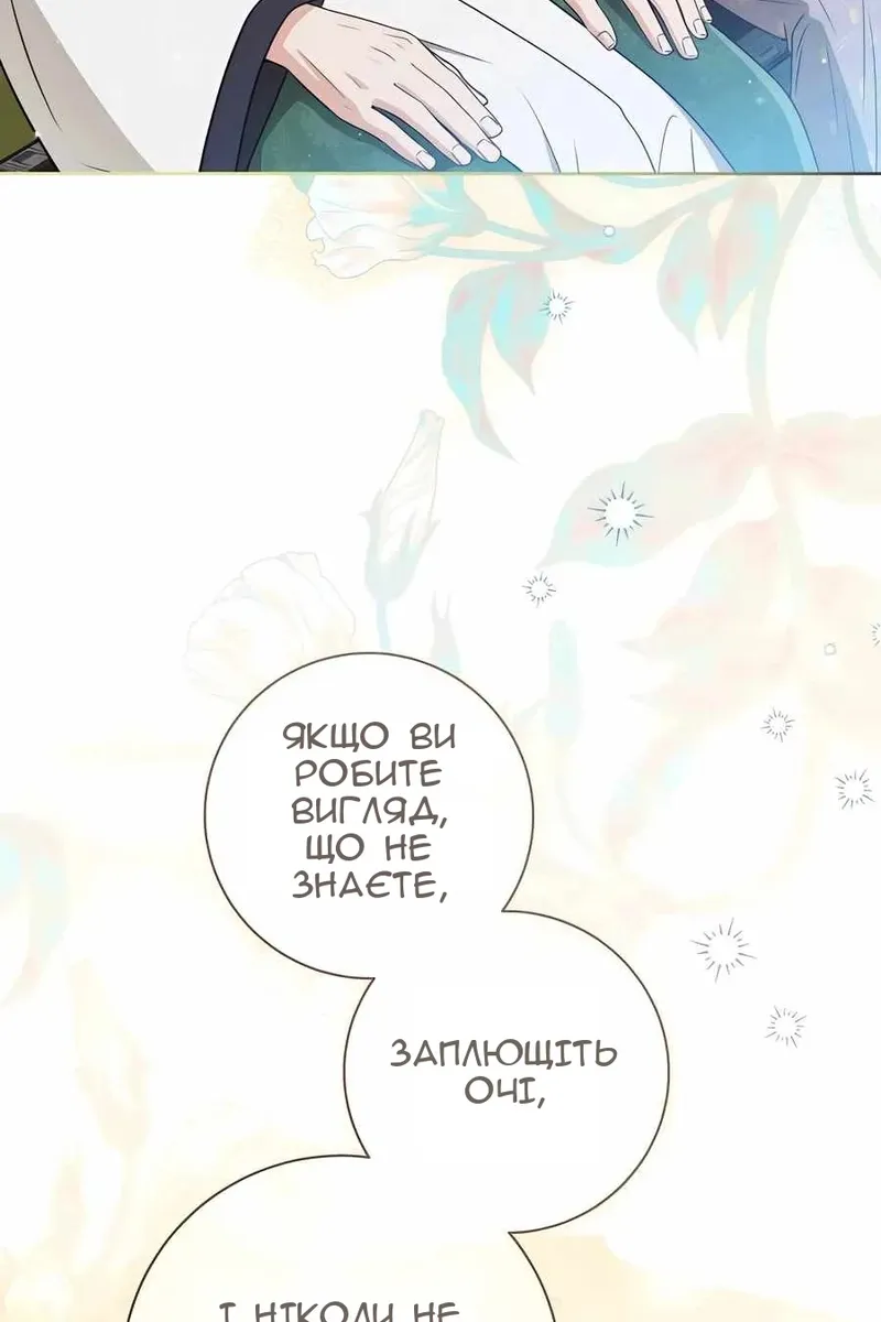 Сторінка 41