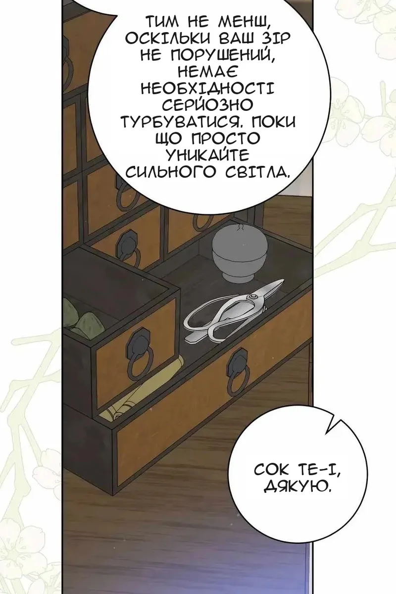 Сторінка 24