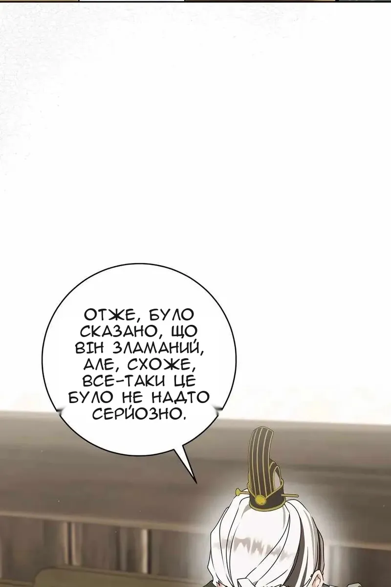 Сторінка 29