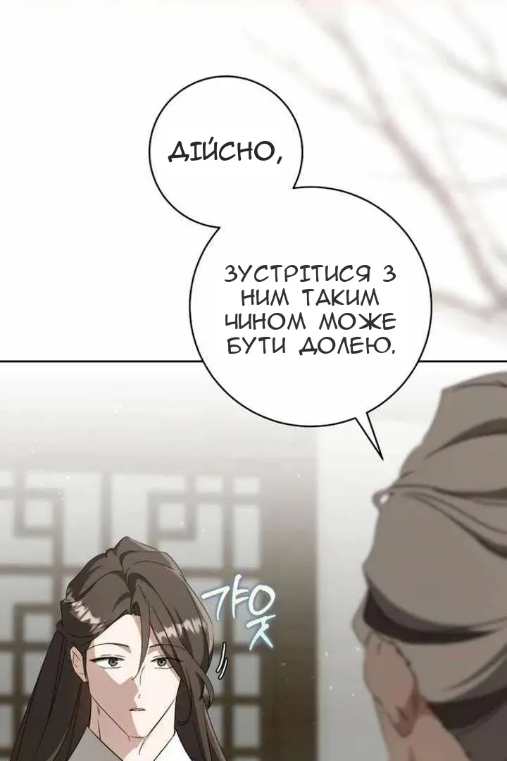 Сторінка 41