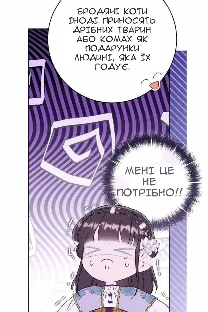 Сторінка 28