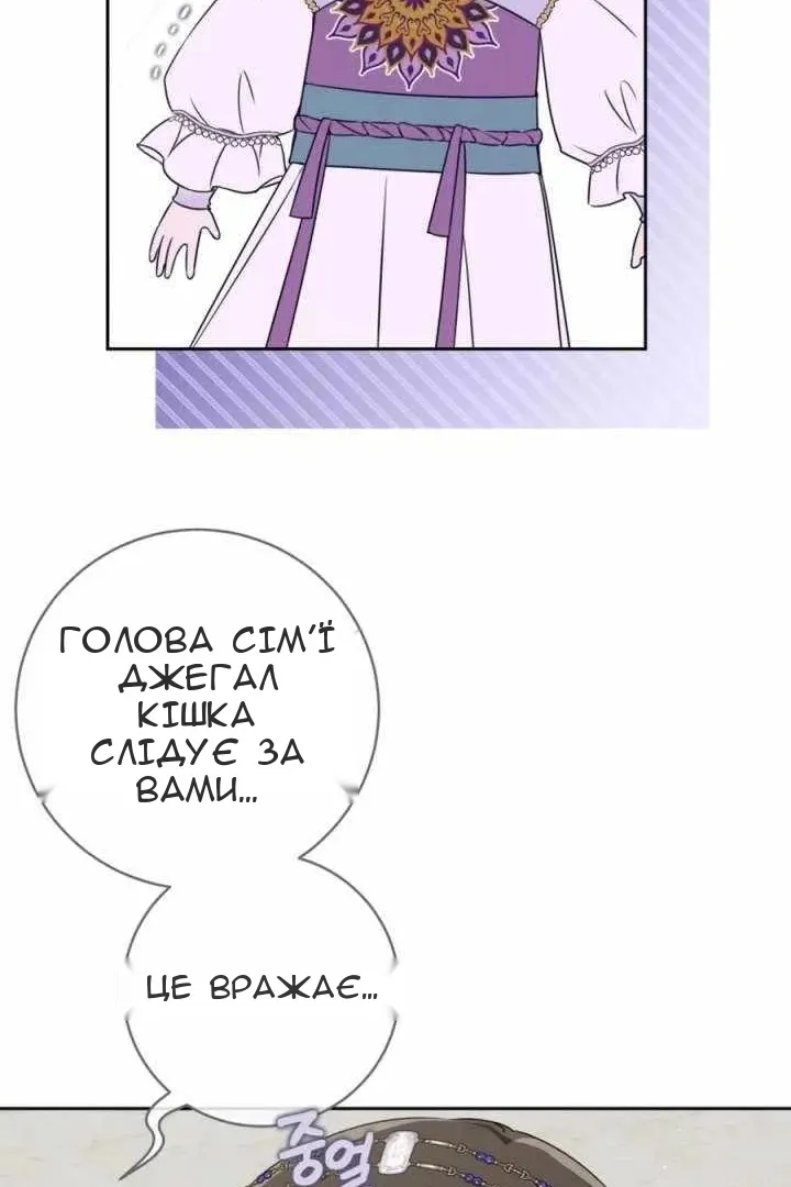 Сторінка 29
