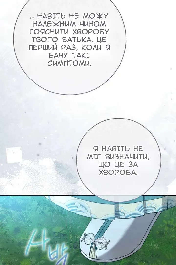 Сторінка 13
