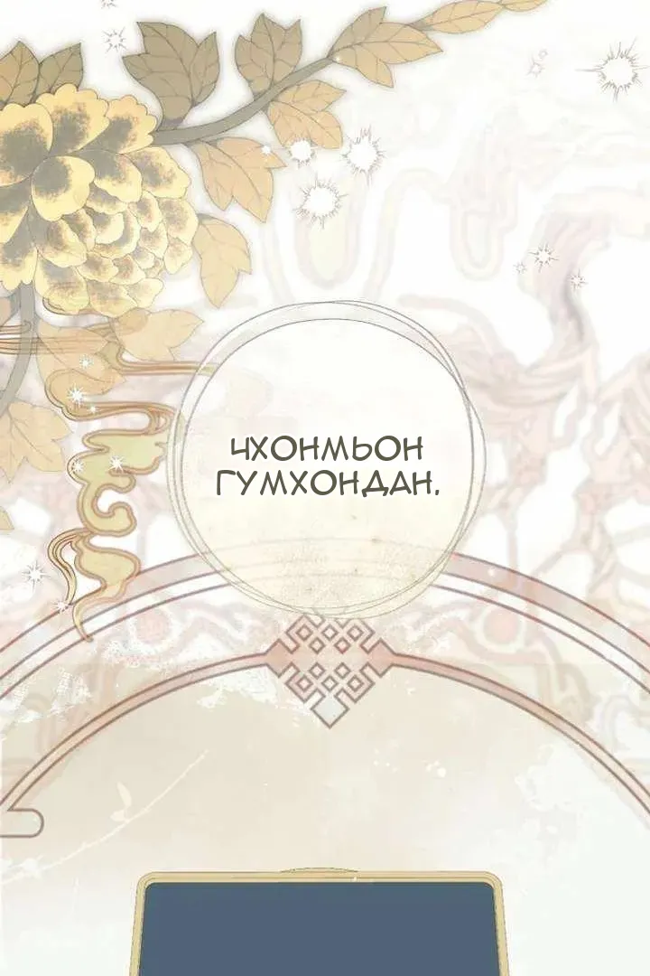 Сторінка 29