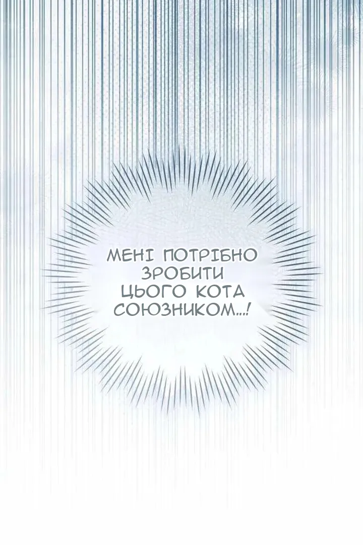 Сторінка 117