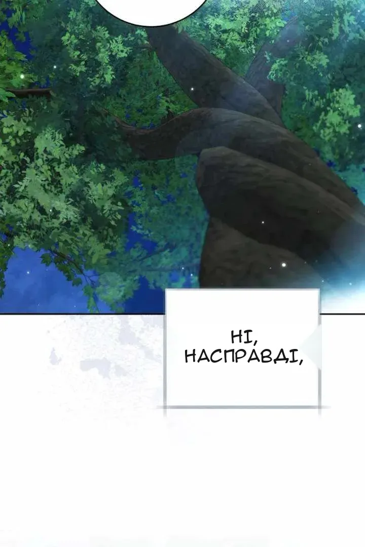 Сторінка 12