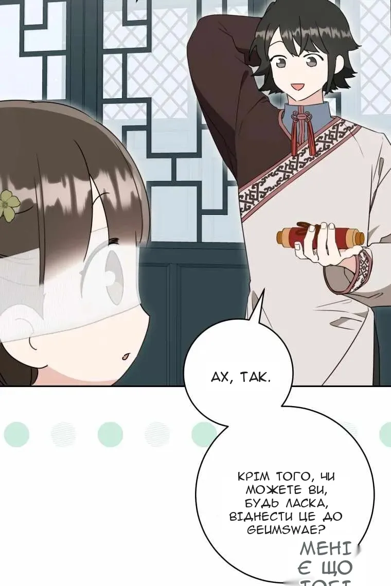 Сторінка 11