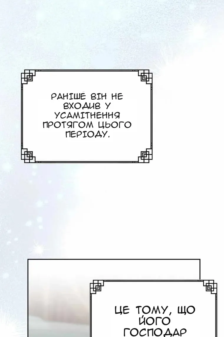 Сторінка 29