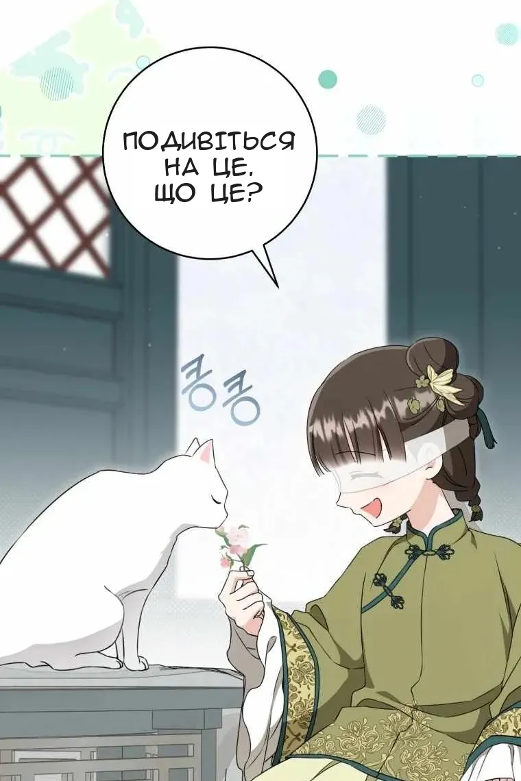 Сторінка 41