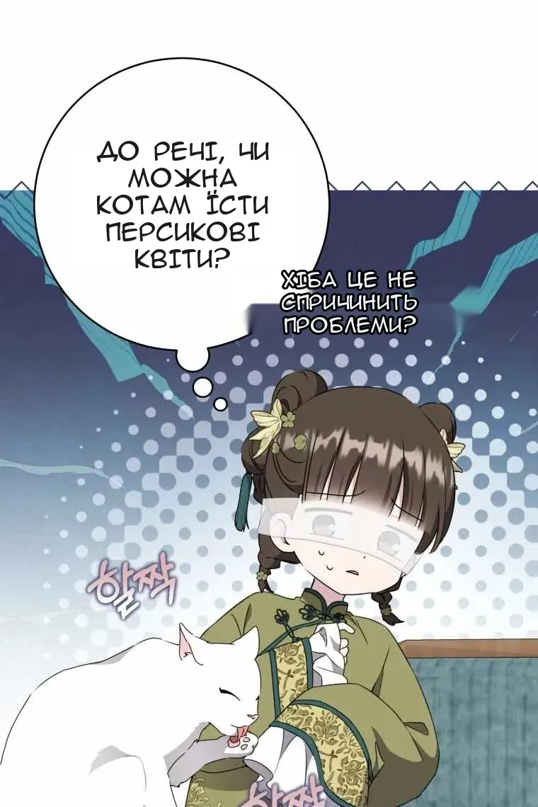 Сторінка 51