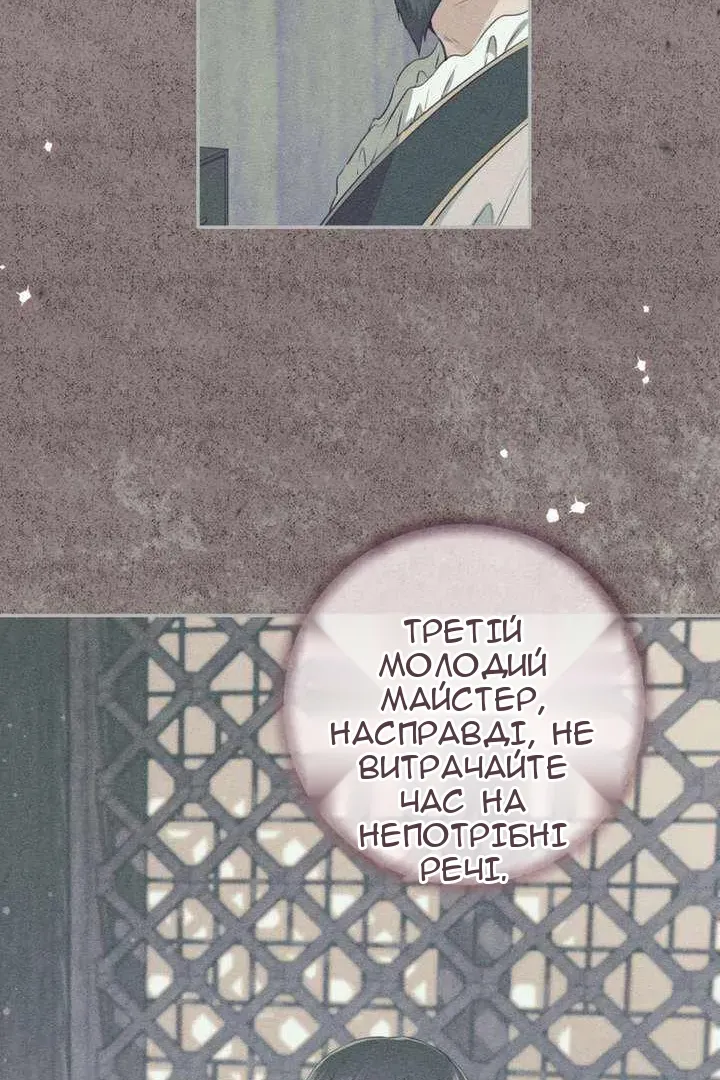 Сторінка 47