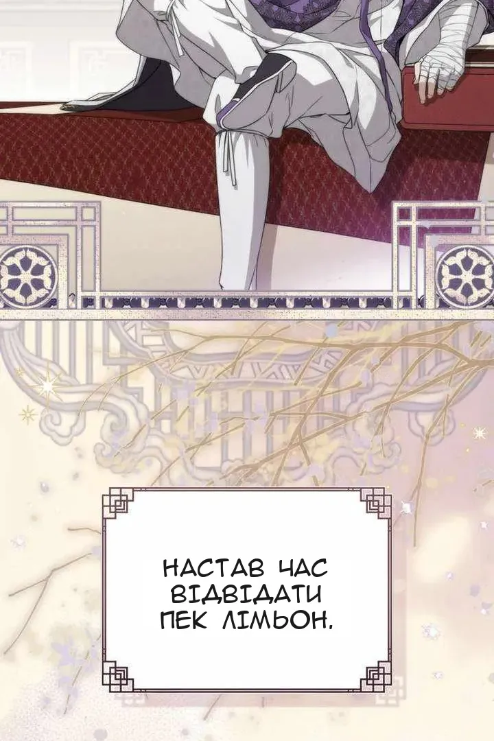 Сторінка 116