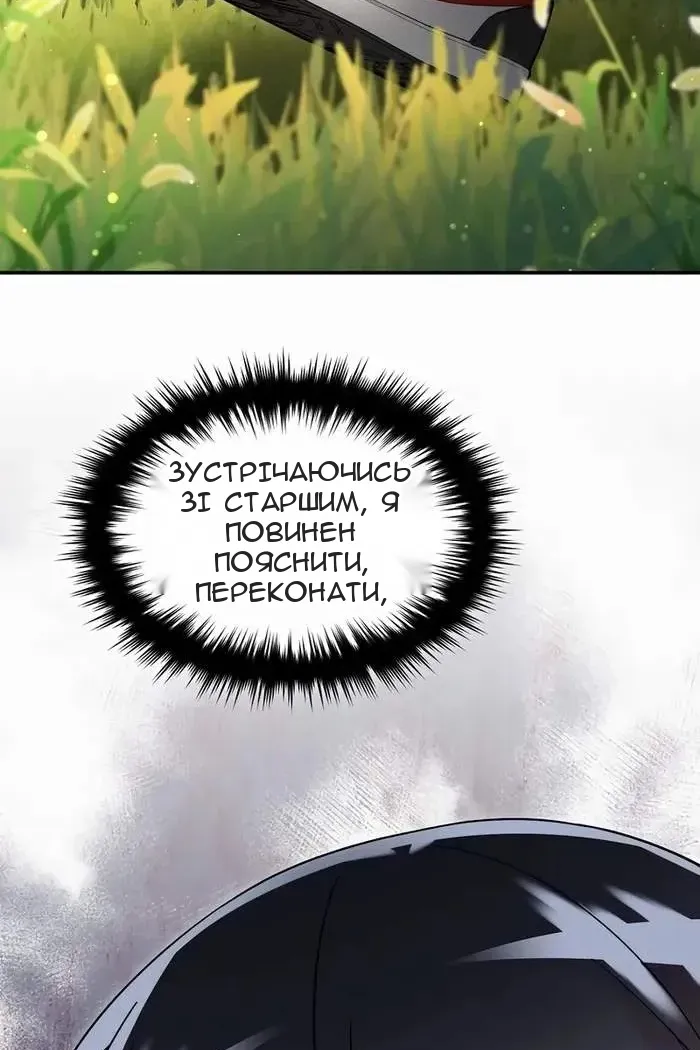 Сторінка 17