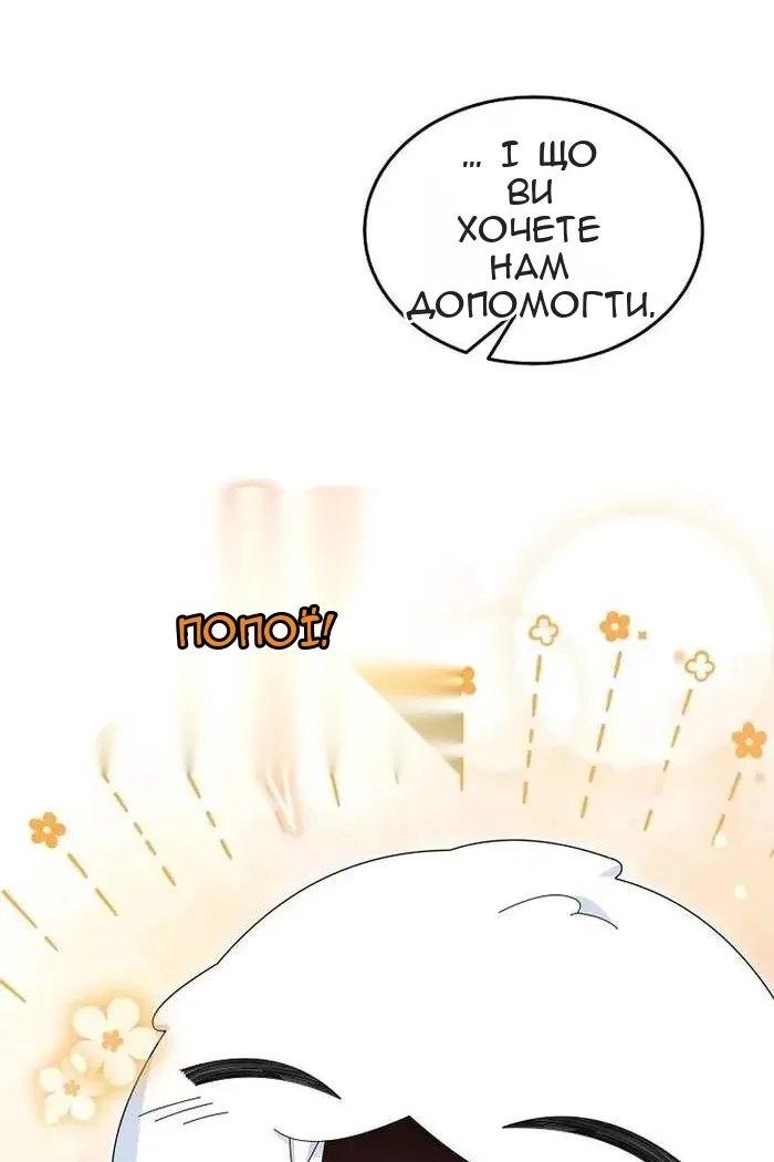 Сторінка 41