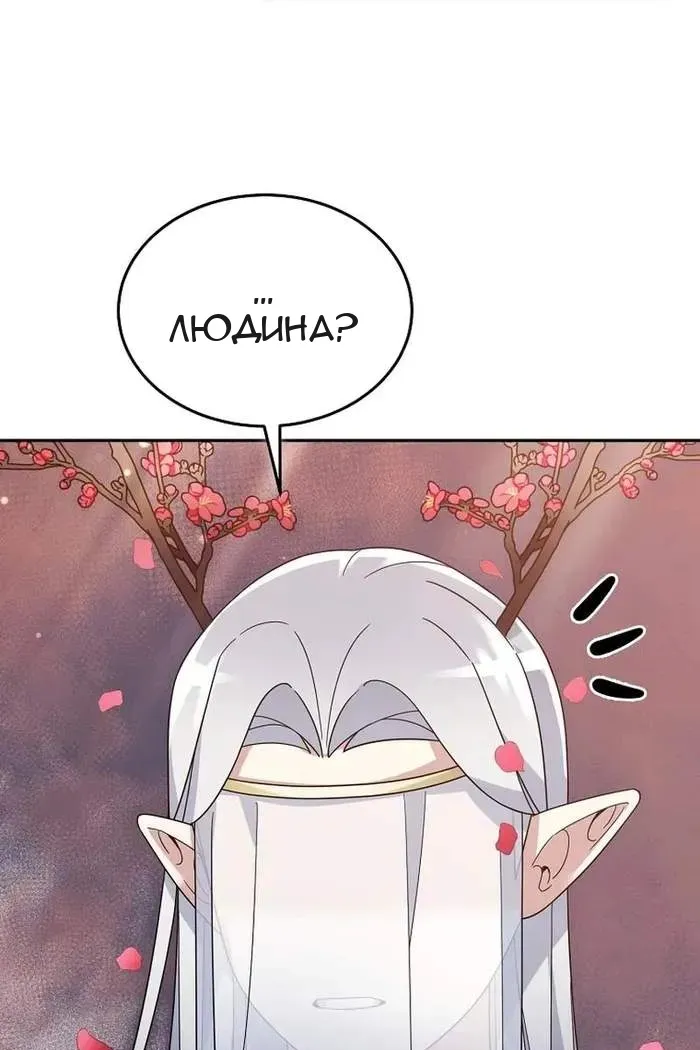Сторінка 44