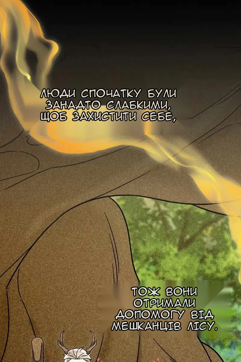 Сторінка 5