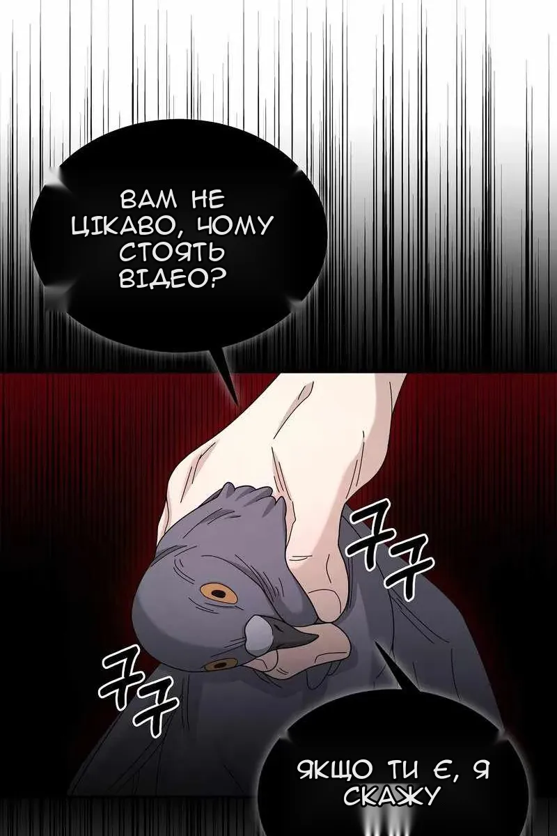 Сторінка 81