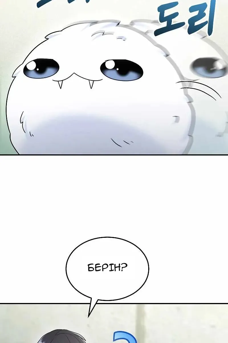 Сторінка 13