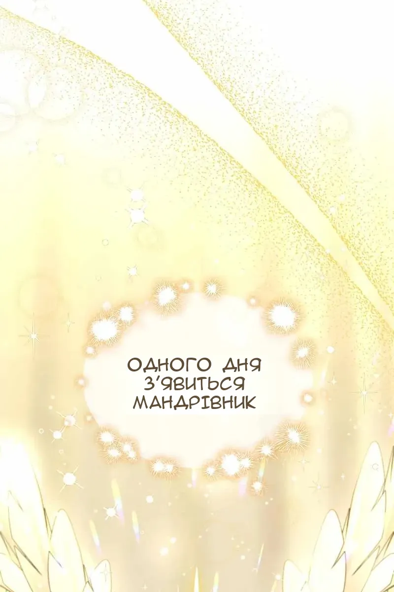 Сторінка 47