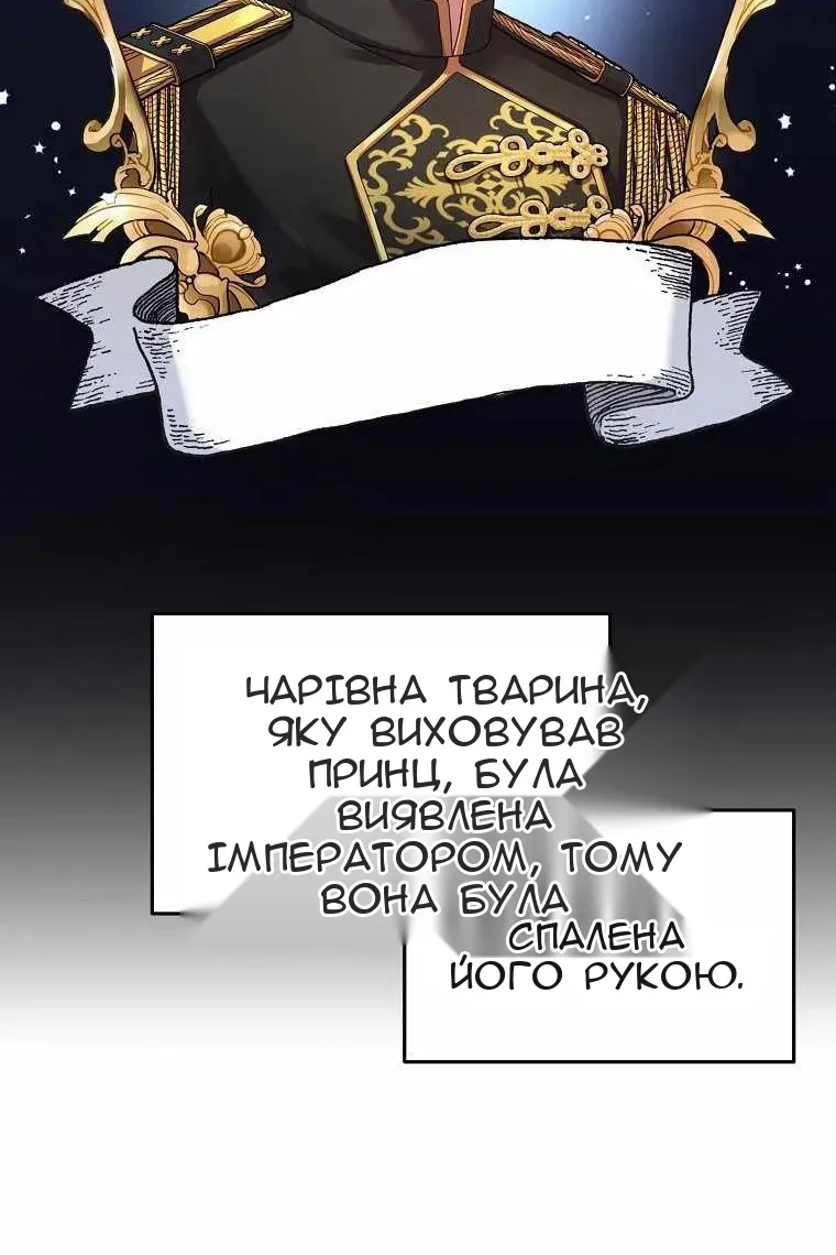 Сторінка 13