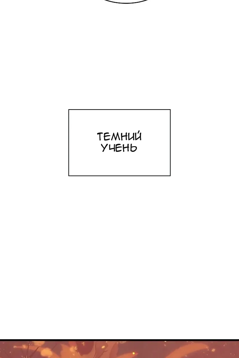 Сторінка 41