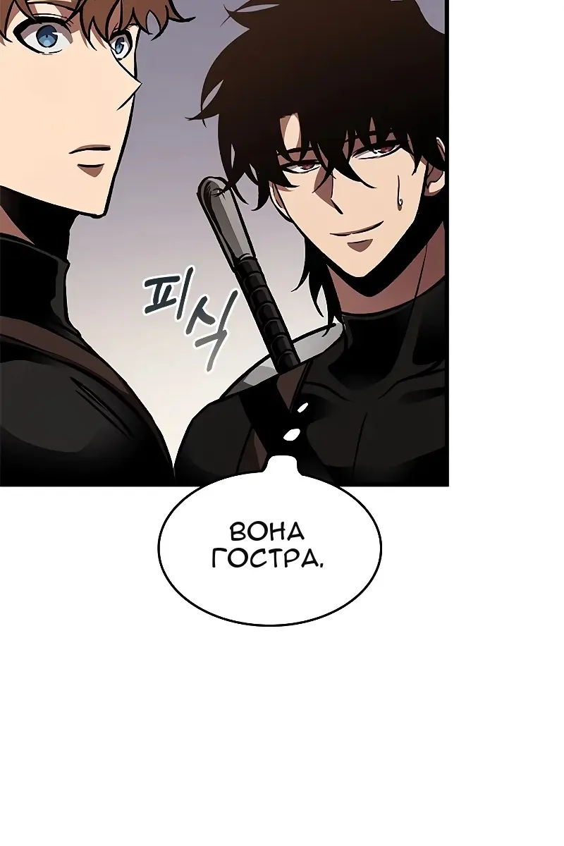 Сторінка 17